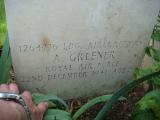 image of grave number 730669